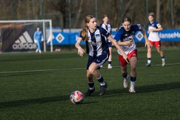Bild 356 - wBJ Hamburger SV - Hertha BSC : Ergebnis: 2:1